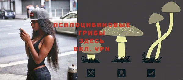 a pvp Вязники