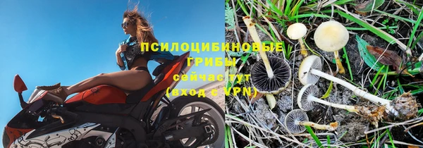 гашишное масло Волоколамск